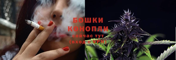 spice Куйбышев