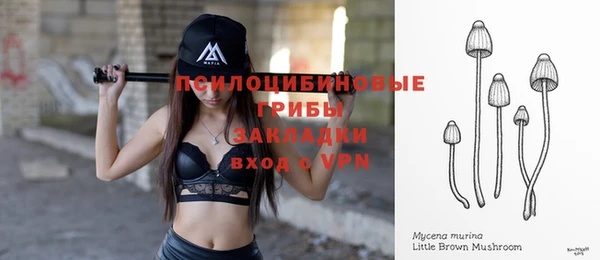 бошки Кукмор