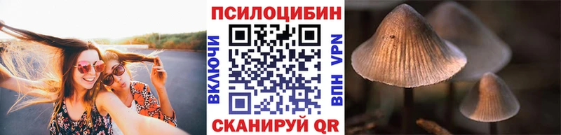 Галлюциногенные грибы Psilocybine cubensis  Пыталово 